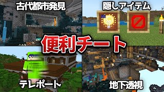 【マイクラ】超便利なコマンド４選【統合版 JAVA版 Switch】 [upl. by Einaj]