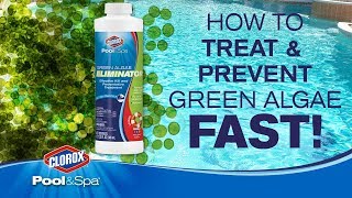 Treating and preventing Green Algae Clorox® PoolampSpa™ [upl. by Radloff]