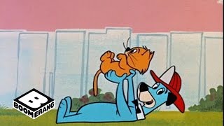 Huckleberry Hound  Kitty Trouble  Boomerang Official [upl. by Ahsrat]