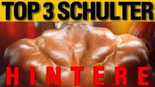 Top 3 Übungen  hintere Schulter [upl. by Prichard344]