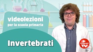 Videolezione gli invertebrati  Renato lo scienziato Renatoloscienziato [upl. by Edee]