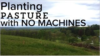 How to Seed a Pasture  Planting a Pasture from Scratch with NO MACHINES [upl. by Noel]