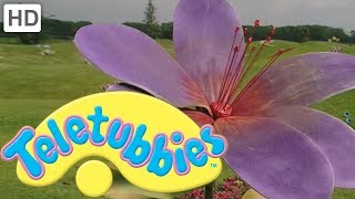 Teletubbies Colours Purple  Full Episode [upl. by Yorgen]