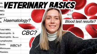 VETERINARY BASICS How to read a blood test CBC amp Haematology [upl. by Aaronson]