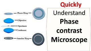 Phase contrast microscope [upl. by Zurn]