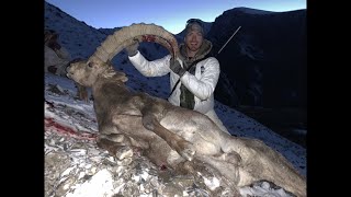 Kyrgyzstan Ibex Hunt [upl. by Rahr]