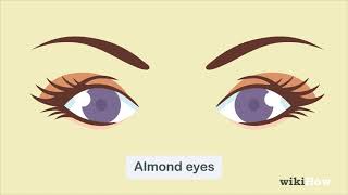 How to Determine Eye Shape [upl. by Yhtnomit450]