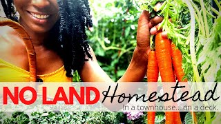 How to START an Urban Homestead WITHOUT Land In a Small Space City Rental w little MONEY  Ep 4 [upl. by Hilbert]