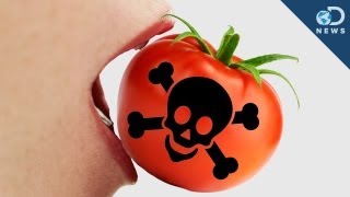 5 Poisonous Foods You Love [upl. by Sedgewake]