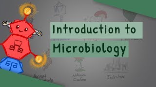 Introduction To Microbiology [upl. by Rodl]