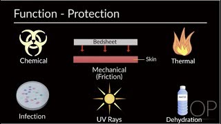 Skin Assessment and Wound Prevention by MJ Manning L DelSignore  OPENPediatrics [upl. by Ntsud]