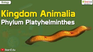 Kingdom Animalia Phylum Platyhelminthes  Biology  iKen  iKenEdu  iKenApp [upl. by Allare]