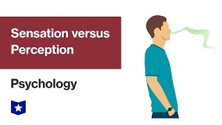 Sensation versus Perception  Psychology [upl. by Katsuyama]