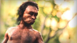 Homo Naledi  Ancient Human [upl. by Diann]