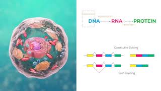 Transcriptomics 1 Introduction to RNASeq bioinformatics analysis of gene and isoform expression [upl. by Arral]