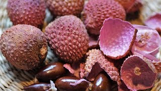 Litchi or Lychee Can This Fruit Be Poisonous How to Eat This Fruit Safely [upl. by Randi]