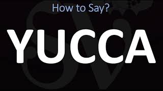 How to Pronounce Yucca CORRECTLY [upl. by Rape]