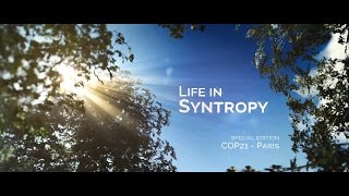 Life in Syntropy [upl. by Ailegnave]