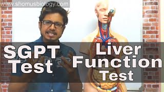 SGPT blood test in Hindi [upl. by Raycher]