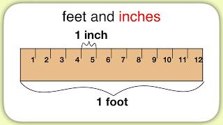 Measurement Feet and Inches [upl. by Terrel]