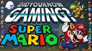 Mario  Did You Know Gaming Feat Egoraptor [upl. by Eilema]