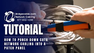 How to Punch Down CAT6 Network Cabling into a Patch Panel  BridgeCablecom [upl. by Ihteerp]