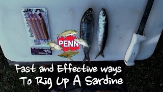 Fastest ways to Rig a sardine [upl. by Alfredo]