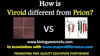 5 Differences between Viroids and Prions Viroids vs Prions in 5 minutes [upl. by Clie]