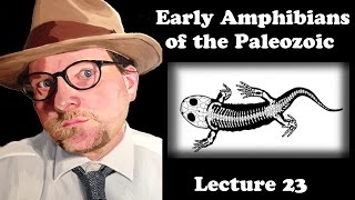 Lecture 23 Early Amphibians of the Paleozoic [upl. by Nyrahtak]