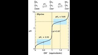 Amino Acid Titration Curve Part 1 [upl. by Beasley]