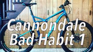 Cannondale Bad Habit 1 Review [upl. by Olva917]