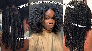 COMMENT CRÉER SA ROUTINE CAPILLAIRE CHEVEUX CRÉPUS  BOUCLÉSFRISÉS [upl. by Dustman]