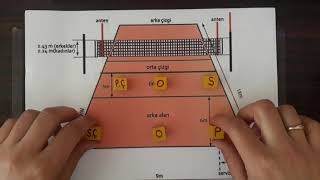 TAKIM SPORLARI VOLEYBOL OYUN KURALLARI 1 [upl. by Pauletta]