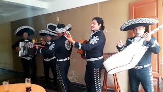 Feliz cumpleaños  MARIACHIS DE ORO [upl. by Elke]