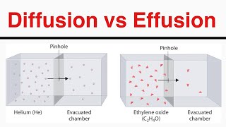 What is Difference Between Diffusion and Effusion [upl. by Gaul]