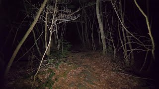 4K・Walking at night in Aokigahara forest no pranks not scary ASMR [upl. by Barraza]