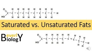 Saturated vs Unsaturated Fats [upl. by Sheelah]