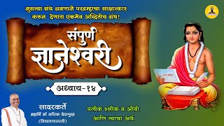 संपुर्ण ज्ञानेश्वरी अध्याय 14  प्रत्येक श्लोक ओवी व अर्थ Sampoorna Dyaneshwari Adhyay 13 [upl. by Gillan]