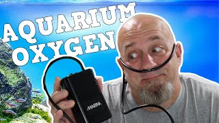 Are Aquarium Air Pumps Oxygen Tanks Fish Tank Bubbles Do You Need Them [upl. by Riffle]