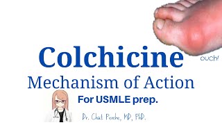 Understanding Colchicine Mechanism Study Breakdown 【USMLE Pharmacology】 [upl. by Atsirt396]