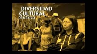 La Diversidad Cultural de México [upl. by Skiba]