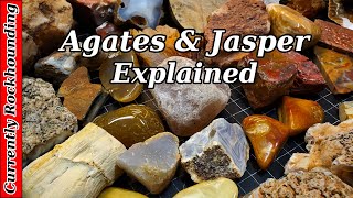 Agates amp Jasper  What Do You Really Know About Them [upl. by Atiuqal660]