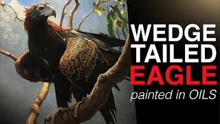 How to paint BIRDS  The Majestic WEDGE TAILED EAGLE  Oil Painting Tutorial [upl. by Aicyle]