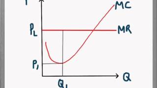 Marginal Cost and Marginal Revenue [upl. by Aicilana]