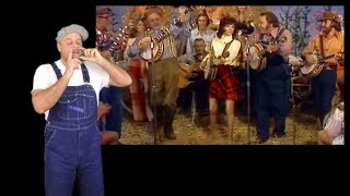 Hee Haw Jam with Jaw Harp  Stop That Tickling Me [upl. by Enomsed116]