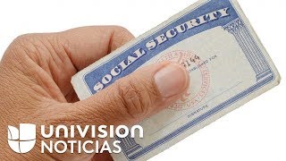 Qué debe hacer y qué no un inmigrante que tenga documentos falsos [upl. by Leahcimnaes]