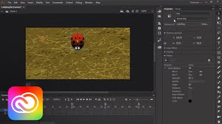 Use Adobe Animate to Design Simple Interactive Content  Adobe Creative Cloud [upl. by Qerat]