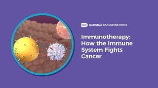 Immunotherapy How the Immune System Fights Cancer [upl. by Ahens]