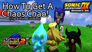 How To Get A Chaos Chao in Sonic Adventure 2 and DX Tips Animal Locations amp More [upl. by Neelcaj]