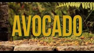 Jah9  Avocado Official Video [upl. by Grussing]